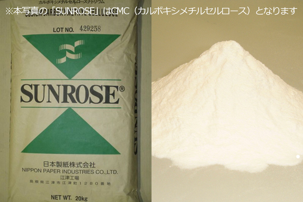 日本製紙株式会社 江津工場／紙を作らないバイオリファイナリー工場<br />
